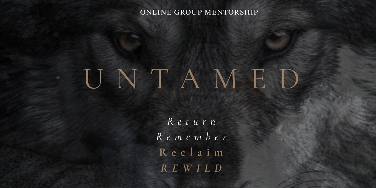 Dark wolf eyes with text about online group mentorship titled Untamed.