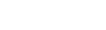 L10X AeroInnovations