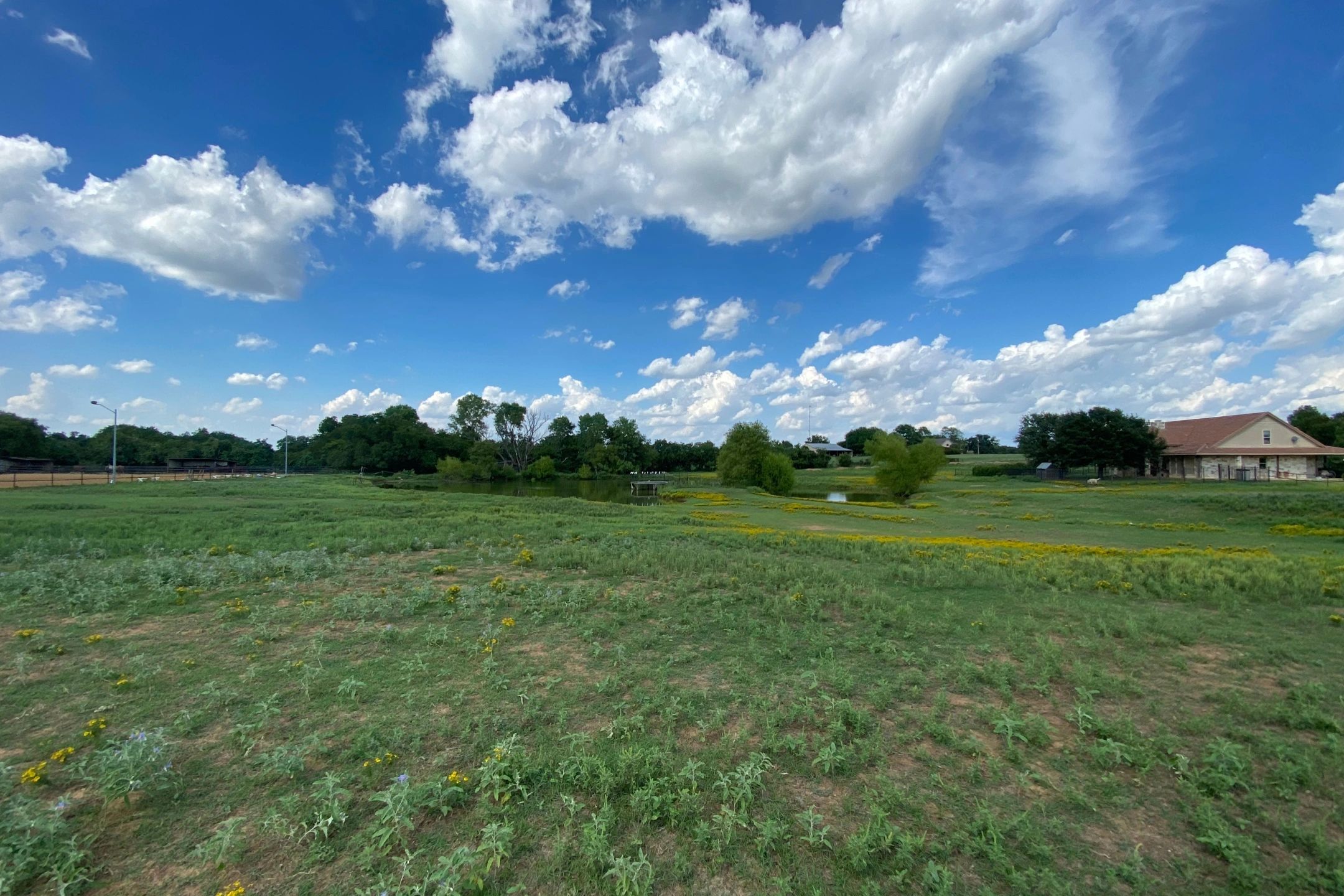 Lobos Horse Ranch Horse Boarding, Horse Training
