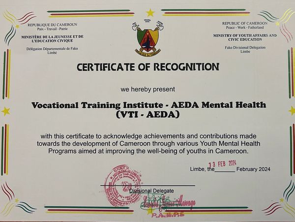 Certificate of recognition presented to VTI - AEDA Mental Health for youth mental health contributions in Cameroon.