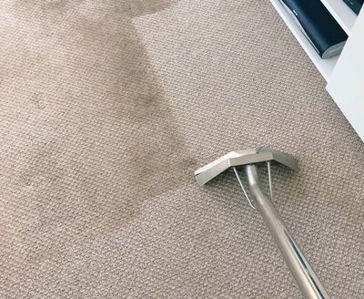 An example of the stunning carpet cleaning results from Immaculate Cleaning