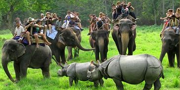 5 Days 4 Nights Kaziranga - Shillong- Cherapunjee Tour Package by Travelbhakt

