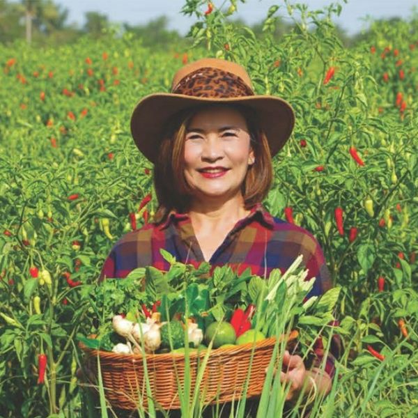 Woman in a hat holding a basket of fresh vegetables in a chili field.