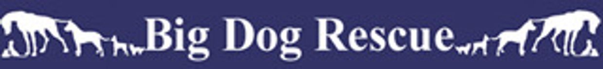 Logo with white dog silhouettes and text 'Big Dog Rescue' on blue background.