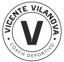 vilanovavicente.com