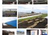London Array: Facilities Building Reactive Green Roof