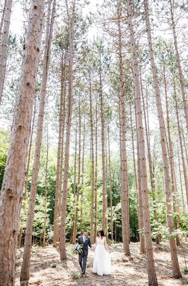 A bride and groom holding hands while walking through a forest of tall pine trees.