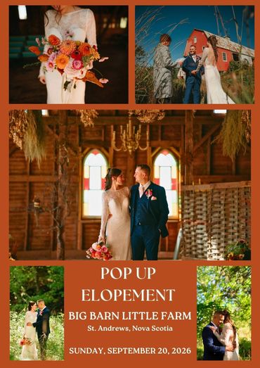 Mood board for pop up elopements on Sept. 20, palette of orange, pink, coral, warm earthy tones.