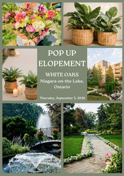 Mood board showing colours, decor, ceremony site of elopement at White Oaks. 