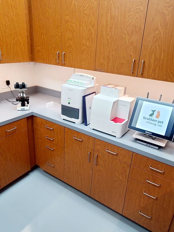 Full equipped laboratory 