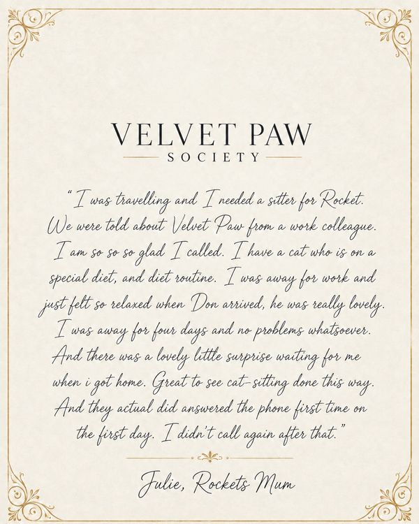 Testimonial for Velvet Paw Society cat sitting service.