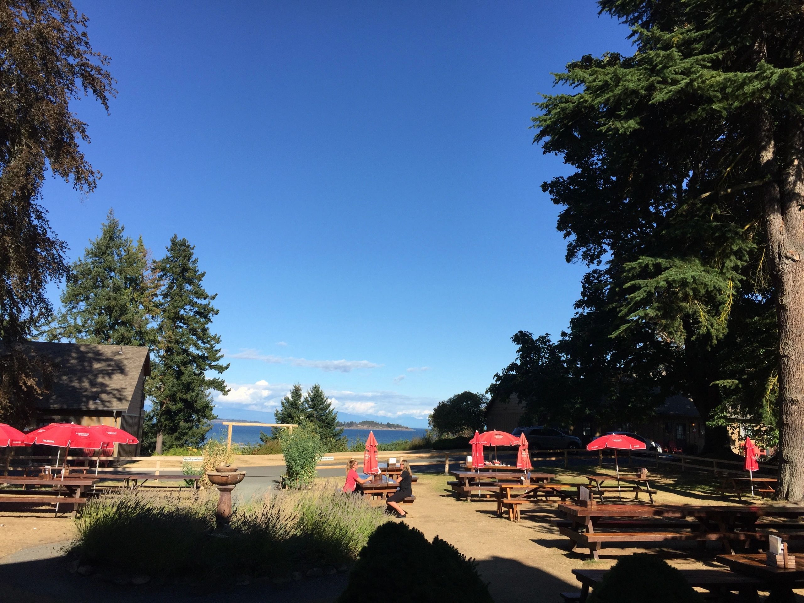 black-goose-inn