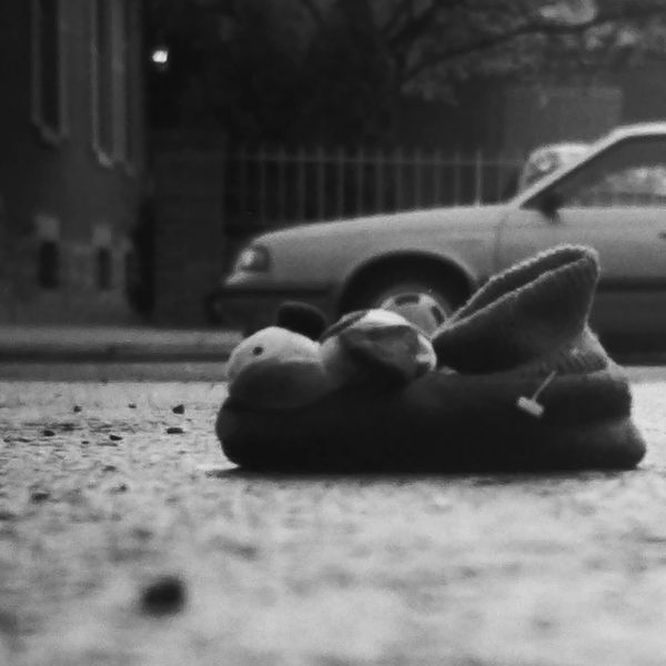 Stuffed toy lying abandoned on a street with cars and buildings in the background.