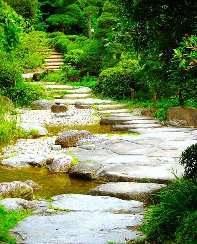 Serene stone pathway winding through lush green garden with a small stream.