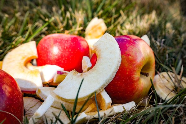 Red ripe apple 