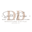 D&D Miniature Cattle Company
