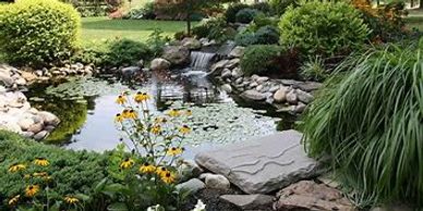 Create a serene outdoor retreat with our professional pond installation service. We design and insta