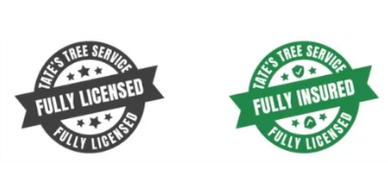 At Tate's Tree Service, we believe in honest work, fair pricing, and treating every yard like it's o