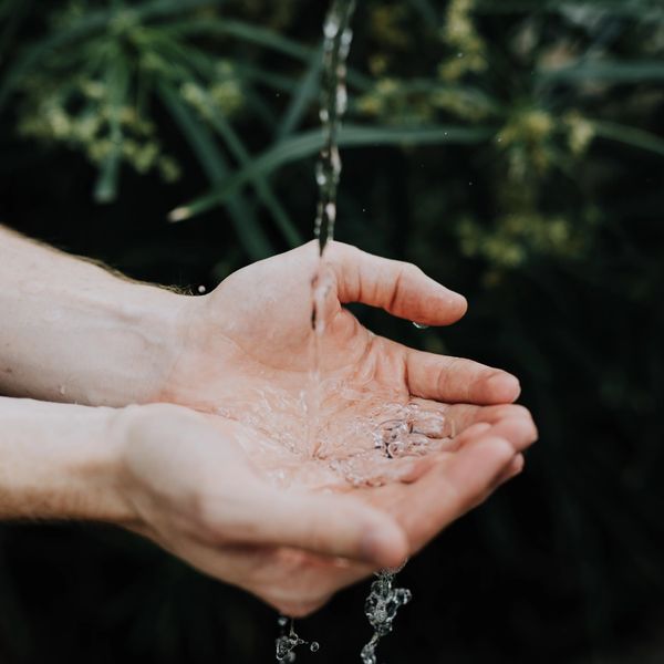 fresh water in hands