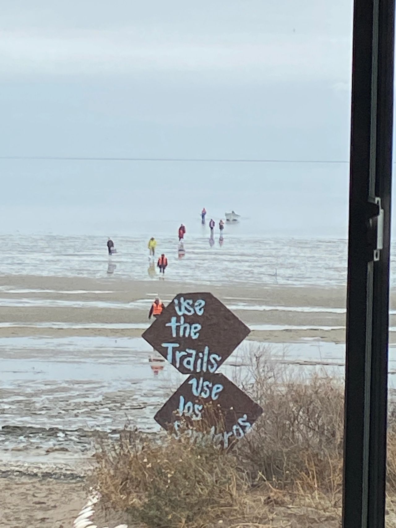 Guests coming back in from whale watching at Pachico EcoTours. Guests coming back in from whale watching at Pachico EcoTours.