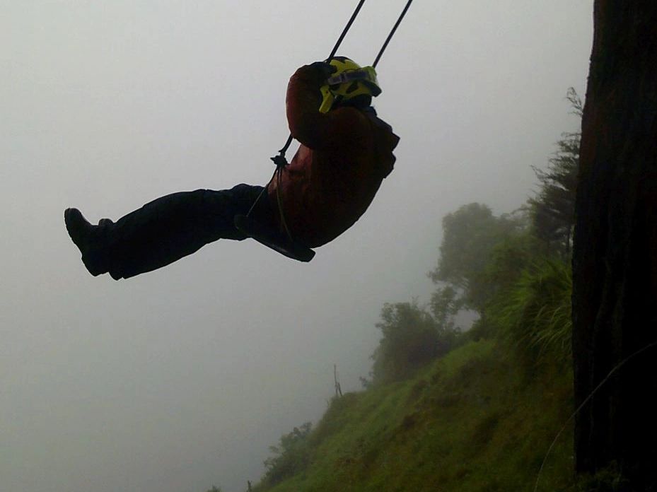 Tree swing on a hill by the side of the road
