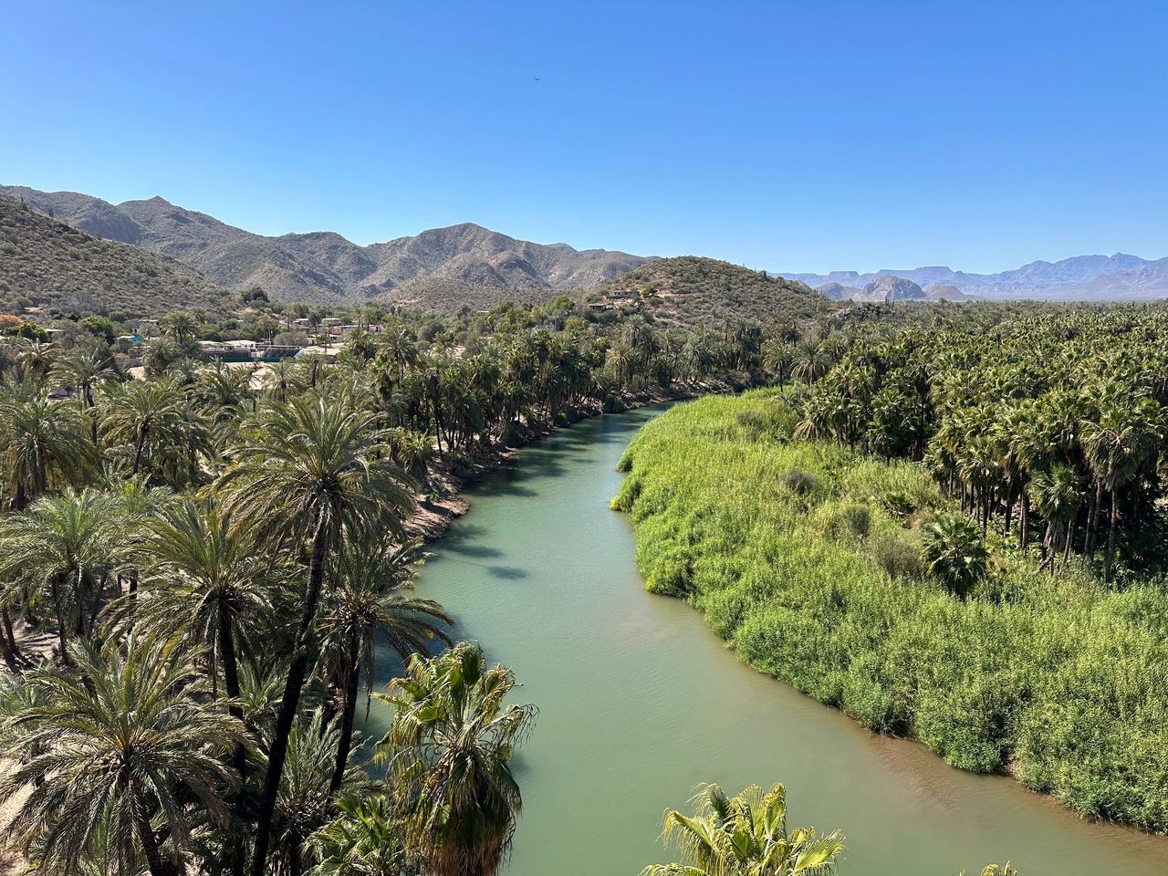 View of the river from the Mulege Mission. View of the river from the Mulege Mission.