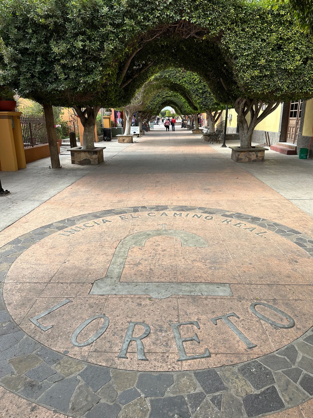 Beautiful tree-covered sidewalk in Loreto. Beautiful tree-covered sidewalk in Loreto.