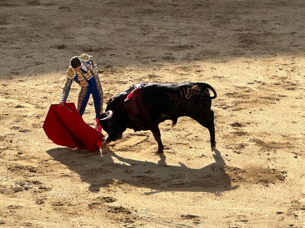 At the bullfight in Madrid