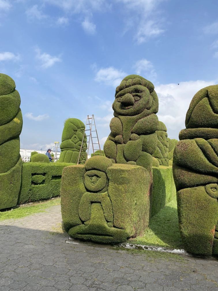 Sculpted hedges at cemetery in Tulcan