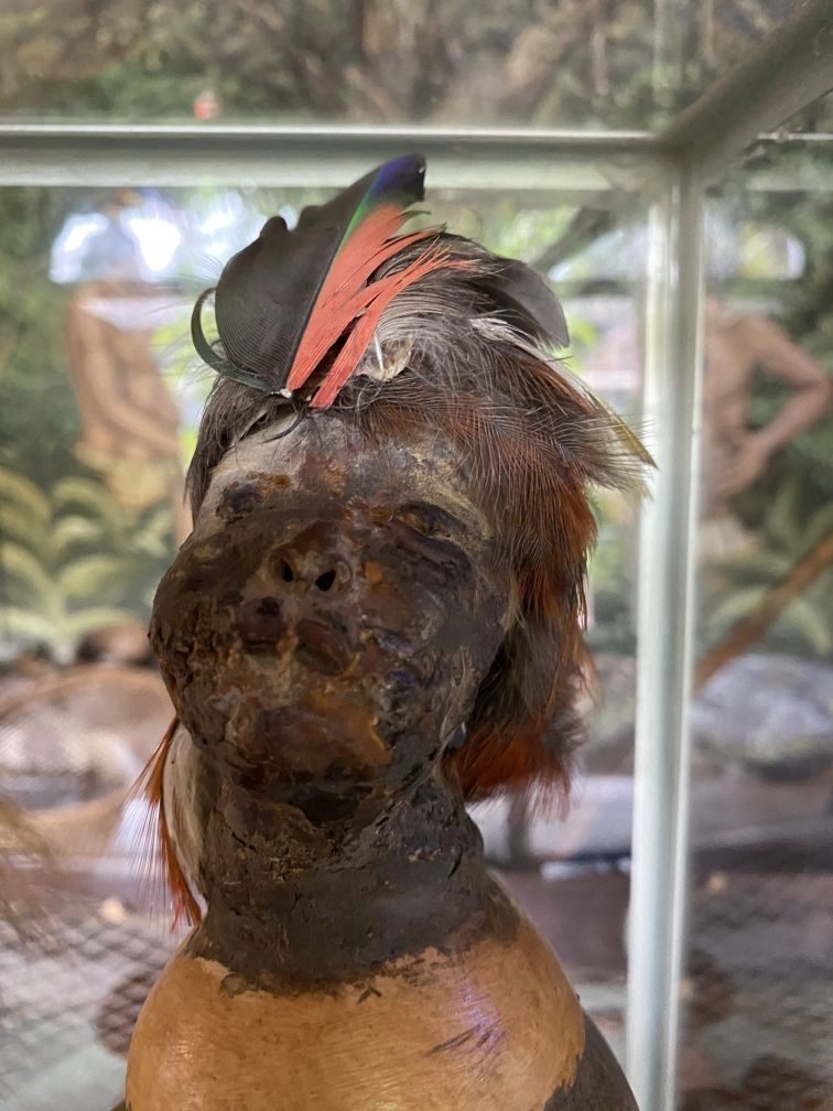 A real shrunken human head