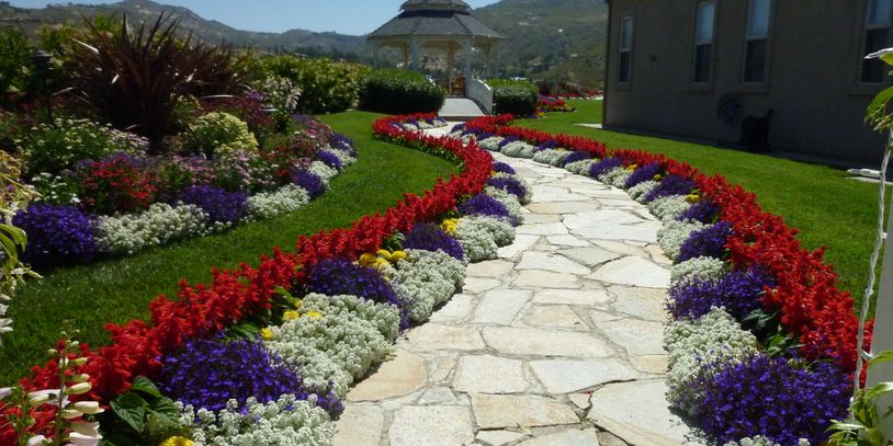 Landscape thrives with adequate and focused drip system watering,