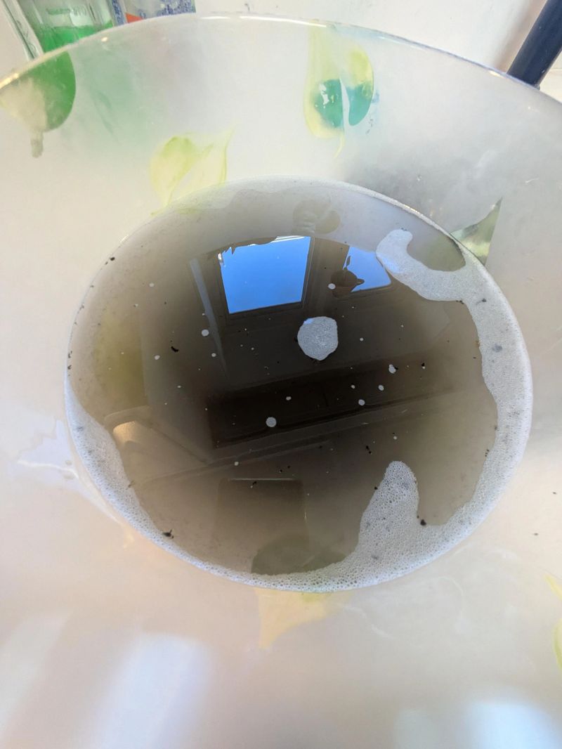 pro-URVoMDQv.jpeg