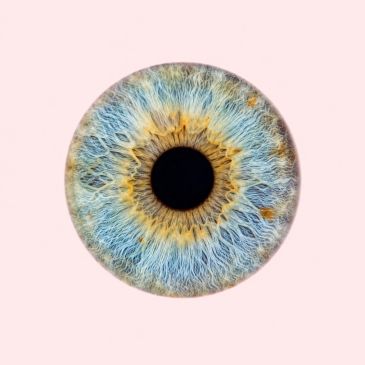 Close-up of a colorful human iris with intricate patterns.