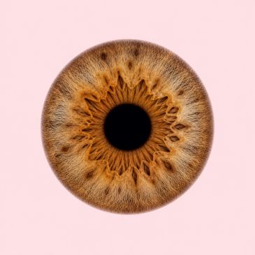 Close-up of a brown human iris against a soft pink background.