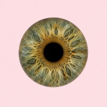 Close-up of a human iris with intricate patterns on a pink background.