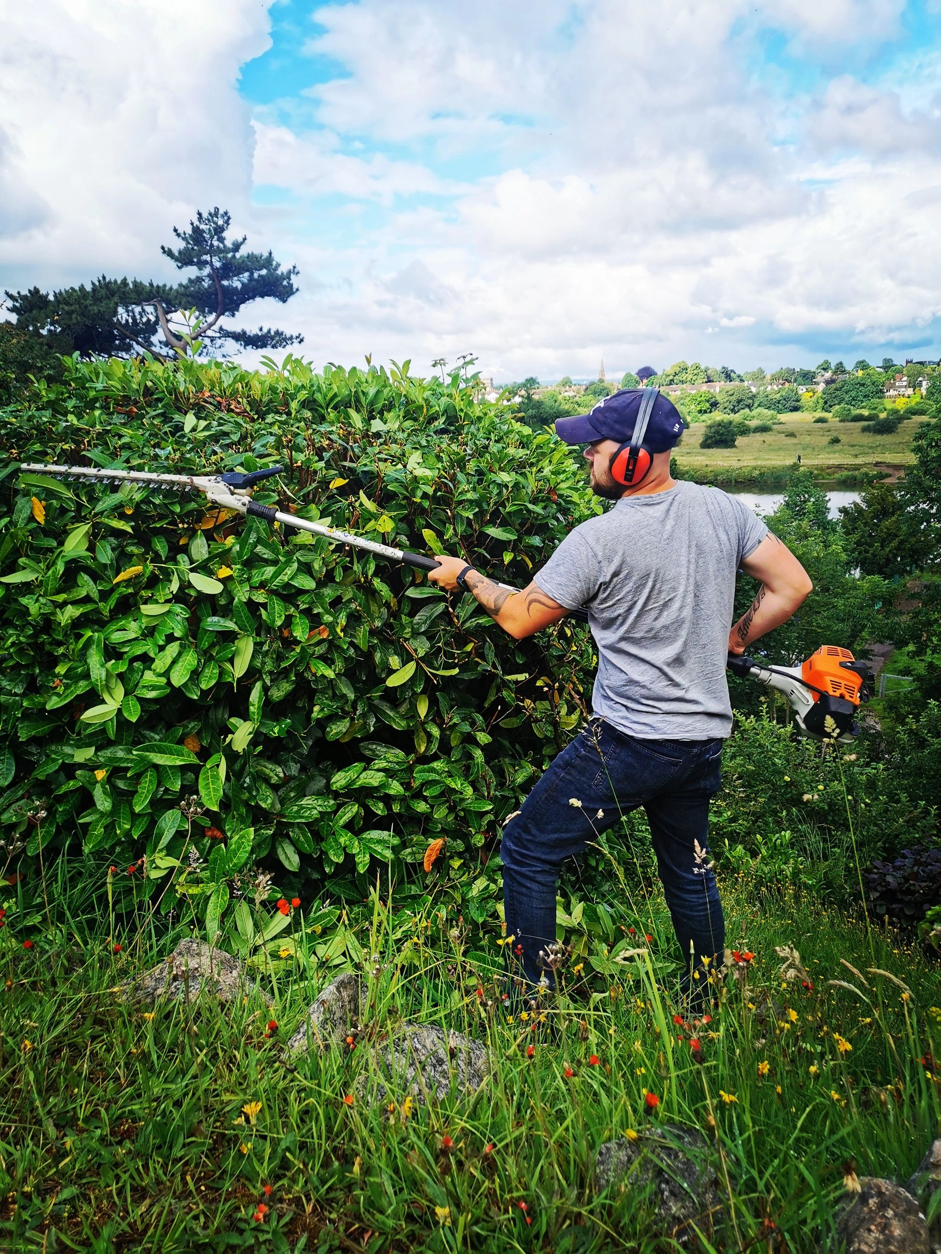 Gallery | Wilson Tree Care