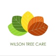 Wilson Tree Care