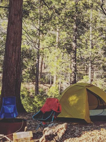 Cozy camping setup with a yellow tent and chairs in a forest.