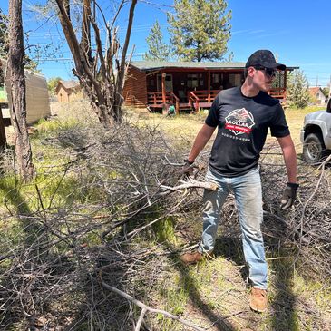 Tree and Brush Removal, Prescott, Prescott Valley, Chino Valley, Dewey