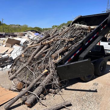 Tree and Brush Removal, Prescott, Prescott Valley, Chino Valley, Dewey