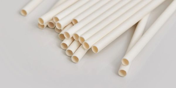 7.75 White Jumbo Paper Straws - 600 Ct.