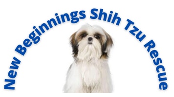 New Beginnings Shih Tzu Rescue