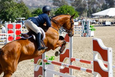 Horse show jumping