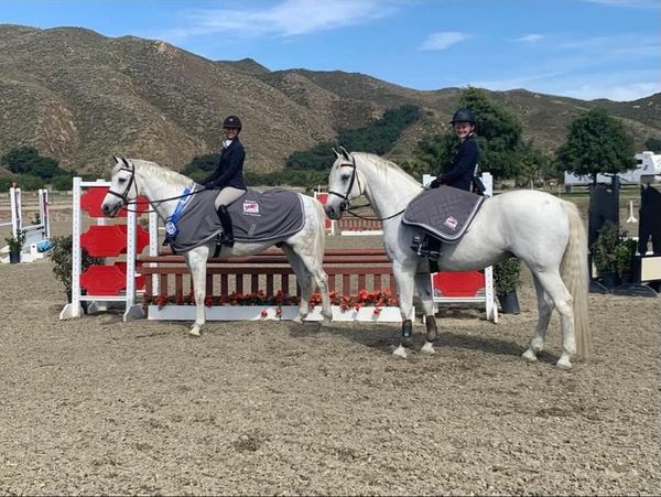 Horse show jumping winners team Willson from Soleil Stables