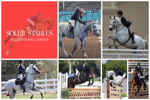 Soleil Stables horse show jumpers collage of Team Willson Show Jumpers