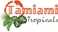 Tamiami Tropicals LLC