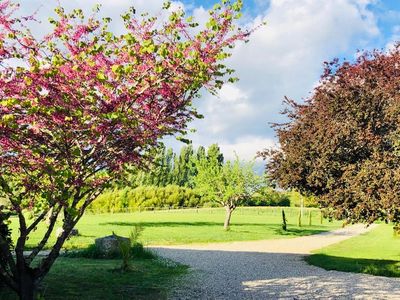 Scenic park with blooming trees and blue sky.
