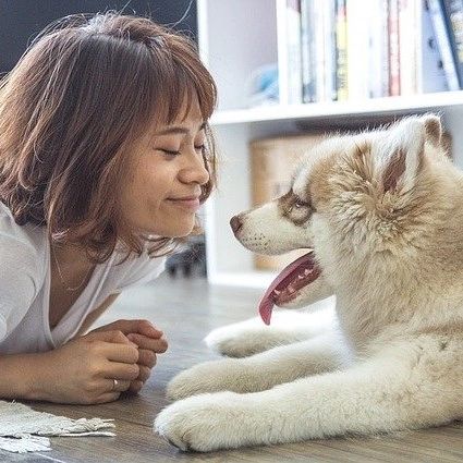 Adopted a pet? Adopted a pet?
