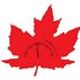 www.canadagauge.com