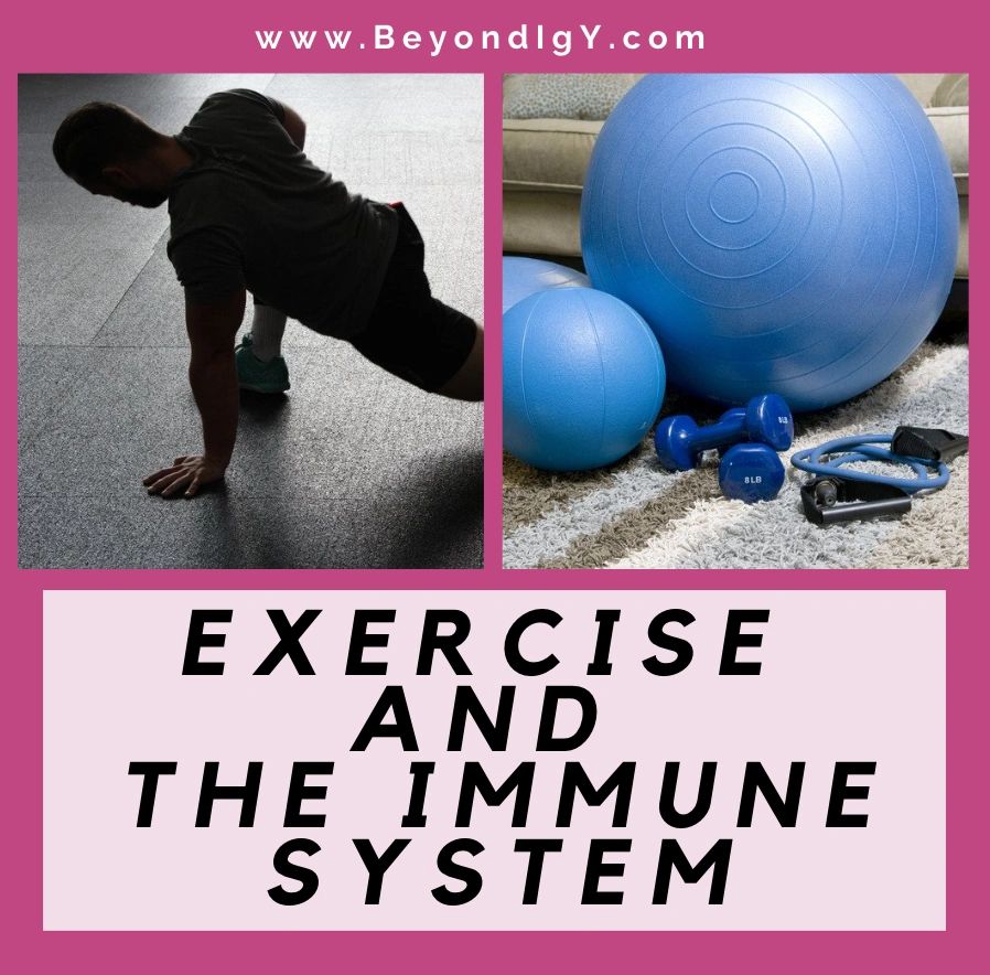 Exercise and the Immune System